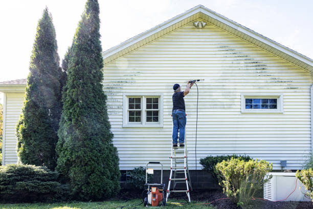 Best Commercial Pressure Washing  in Le Roy, IL