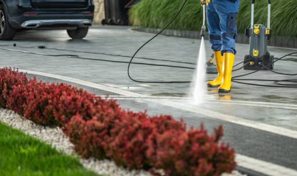 Best Concrete Pressure Washing  in Le Roy, IL