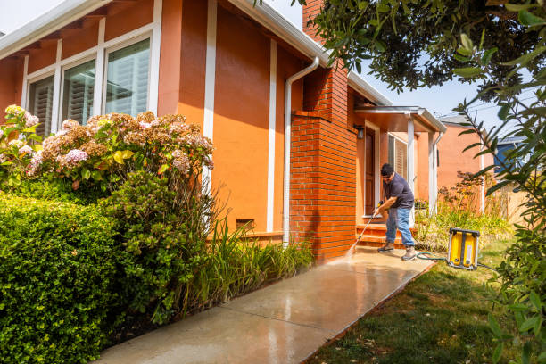 Best Residential Pressure Washing Services  in Le Roy, IL