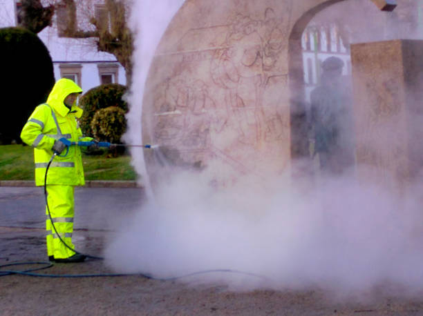 Best Roof Power Washing Services  in Le Roy, IL